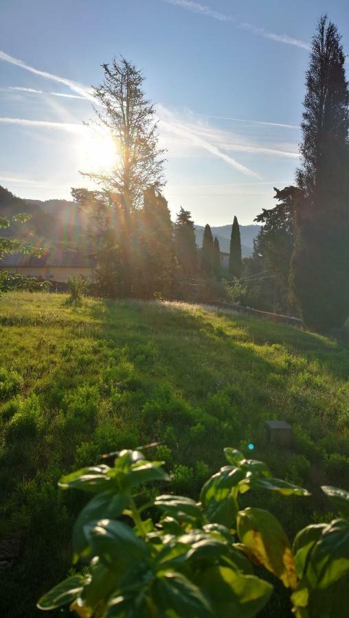 Palazzo Boccella Affittacamere Villa Basilica Esterno foto